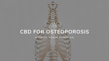 CBD for Osteoporosis - Showing Body Skeleton - How CBD can help with Osteoporosis 