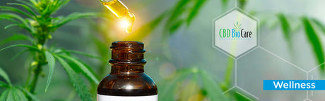 CBD Oil